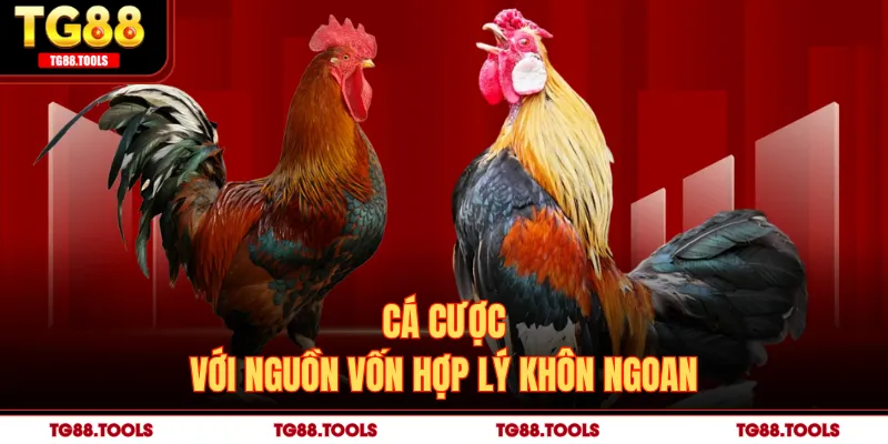 Cá cược với nguồn vốn hợp lý khôn ngoan