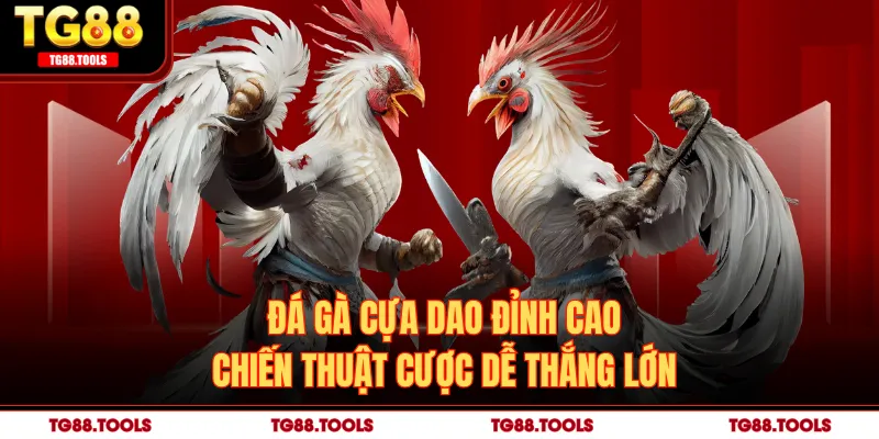 Đá Gà Cựa Dao Đỉnh Cao - Chiến Thuật Cược Dễ Thắng Lớn
