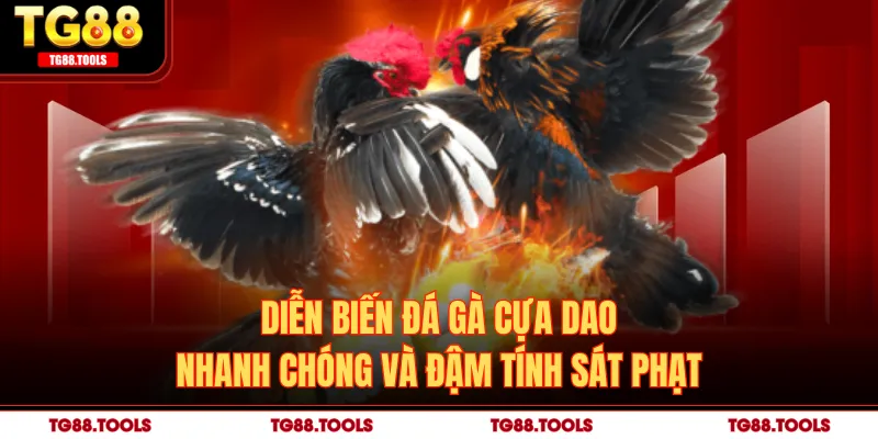 Diễn biến đá gà cựa dao nhanh chóng và đậm tính sát phạt